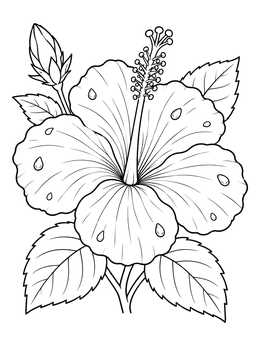 A detailed hawaiian flowers coloring page showing a blooming hibiscus with stamen, bud, and morning dewdrops.