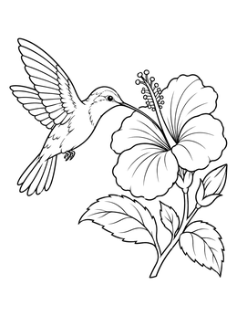 A hummingbird hovering next to a blooming blossom in this hawaiian flowers coloring page.