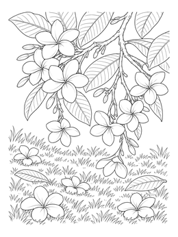 Plumeria branch dropping petals on grass in this hawaiian flowers coloring page.