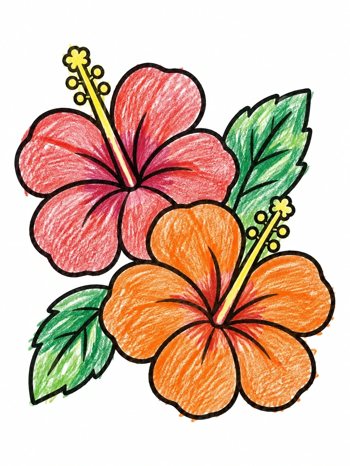 Colored example of the Pair Of Tropical Hibiscus Flowers coloring page