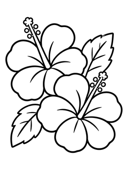 A simple hawaiian flowers coloring page featuring two blooming hibiscus with leaves.