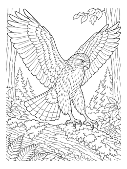 A detailed hawk coloring page showing the bird landing on a mossy log with wings spread wide.