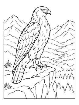 A detailed hawk coloring page shows a majestic raptor standing on a rocky ledge overlooking a mountain valley.