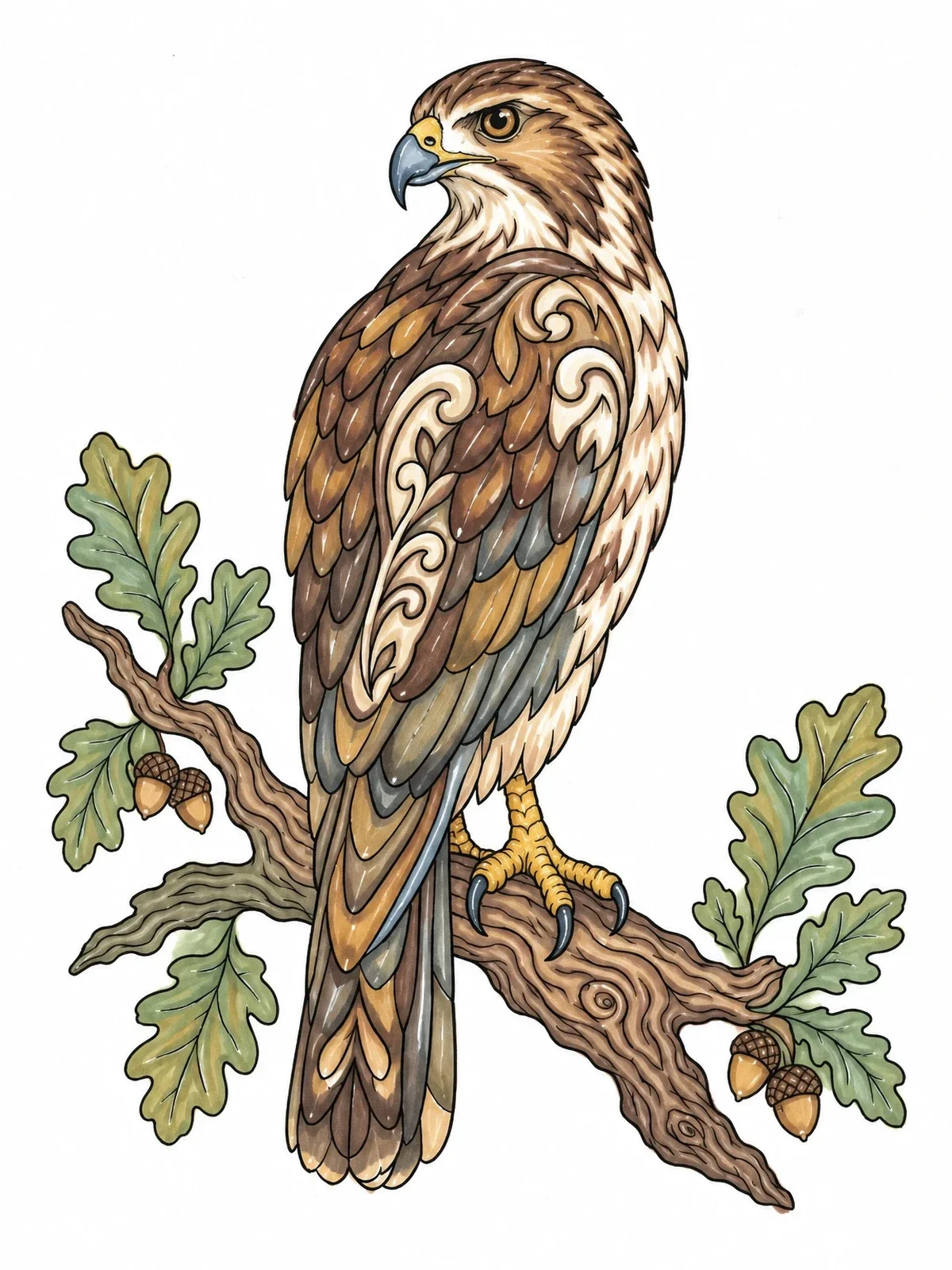 Colored example of the Hawk Perched On Oak Branch coloring page
