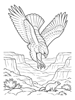 A dynamic hawk coloring page showing a raptor swooping above a desert canyon.