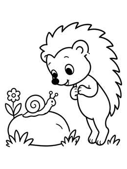 A cute hedgehog coloring page showing a hedgehog leaning forward to watch a snail on a garden stone.