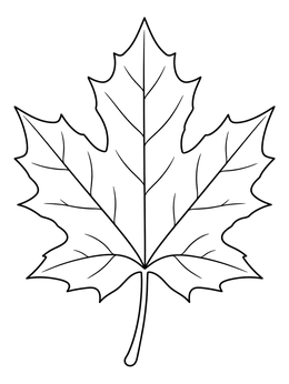 A detailed maple leaf with clear veins on this hello november coloring page.
