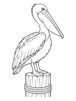 A pelican standing on a wooden pier post in a hello summer coloring page.