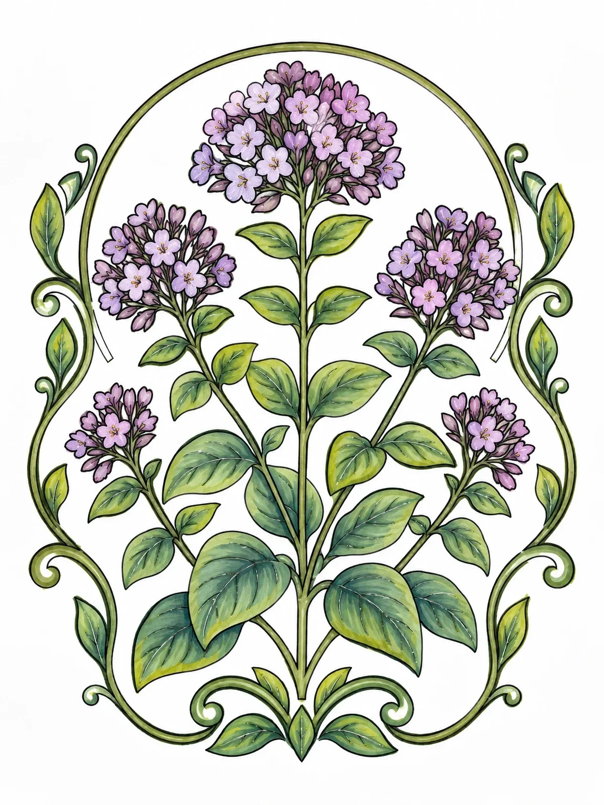 Colored example of the Blooming Wild Oregano Plant coloring page