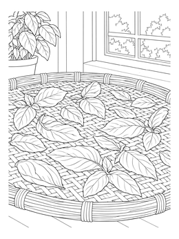 Fresh basil leaves dry on a woven wicker tray by a sunny window in this herb coloring page.