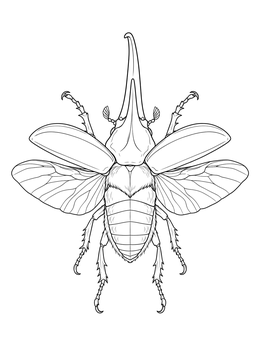 Detailed hercules beetle coloring page with outstretched wings and long horn seen from above.