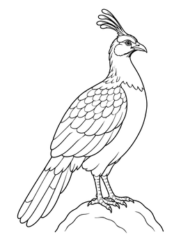 Free printable Himalayan Monal Pheasant Perched On A Rock coloring page