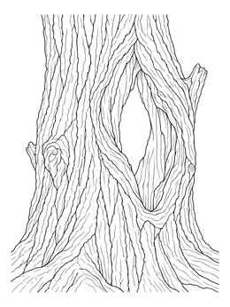 A detailed tree coloring page of an ancient furrowed trunk with a hollow opening.