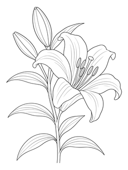 Blooming Easter lily on a leafy stem shown in a holy week coloring page.