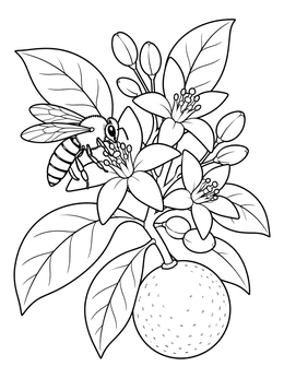 Detailed orange coloring page of a honeybee visiting delicate orange blossoms on a fruit-bearing branch.