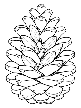Detailed evergreen cone on this hope coloring page symbolizing renewal.