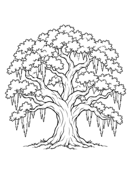 Free printable Southern Live Oak Tree coloring page