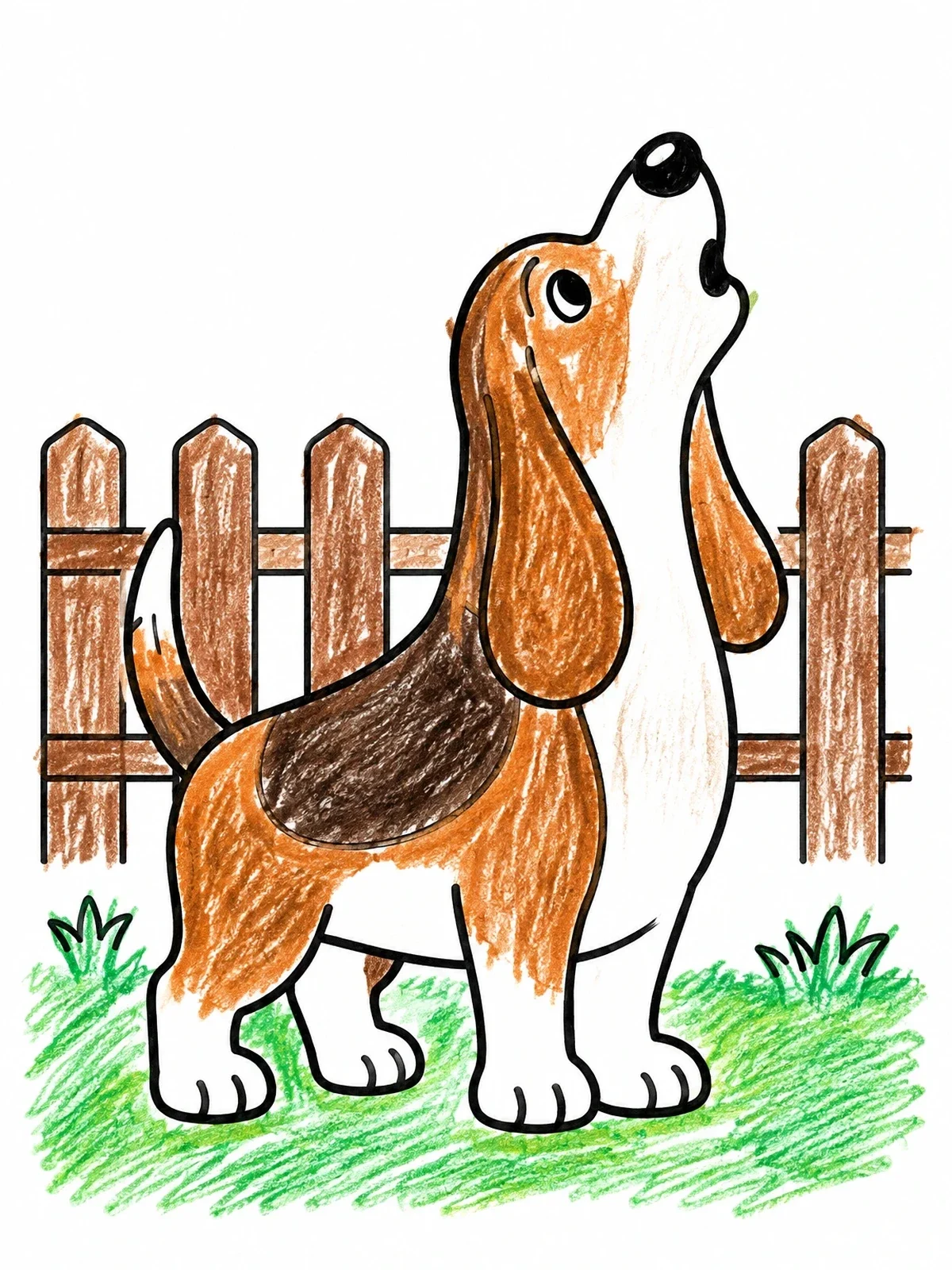 Colored example of the Howling Basset Hound By Fence coloring page