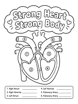 Free printable Human Heart Diagram With Labels coloring page
