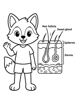 Educational human coloring page presenting a labeled skin cross section beside a friendly cartoon character.