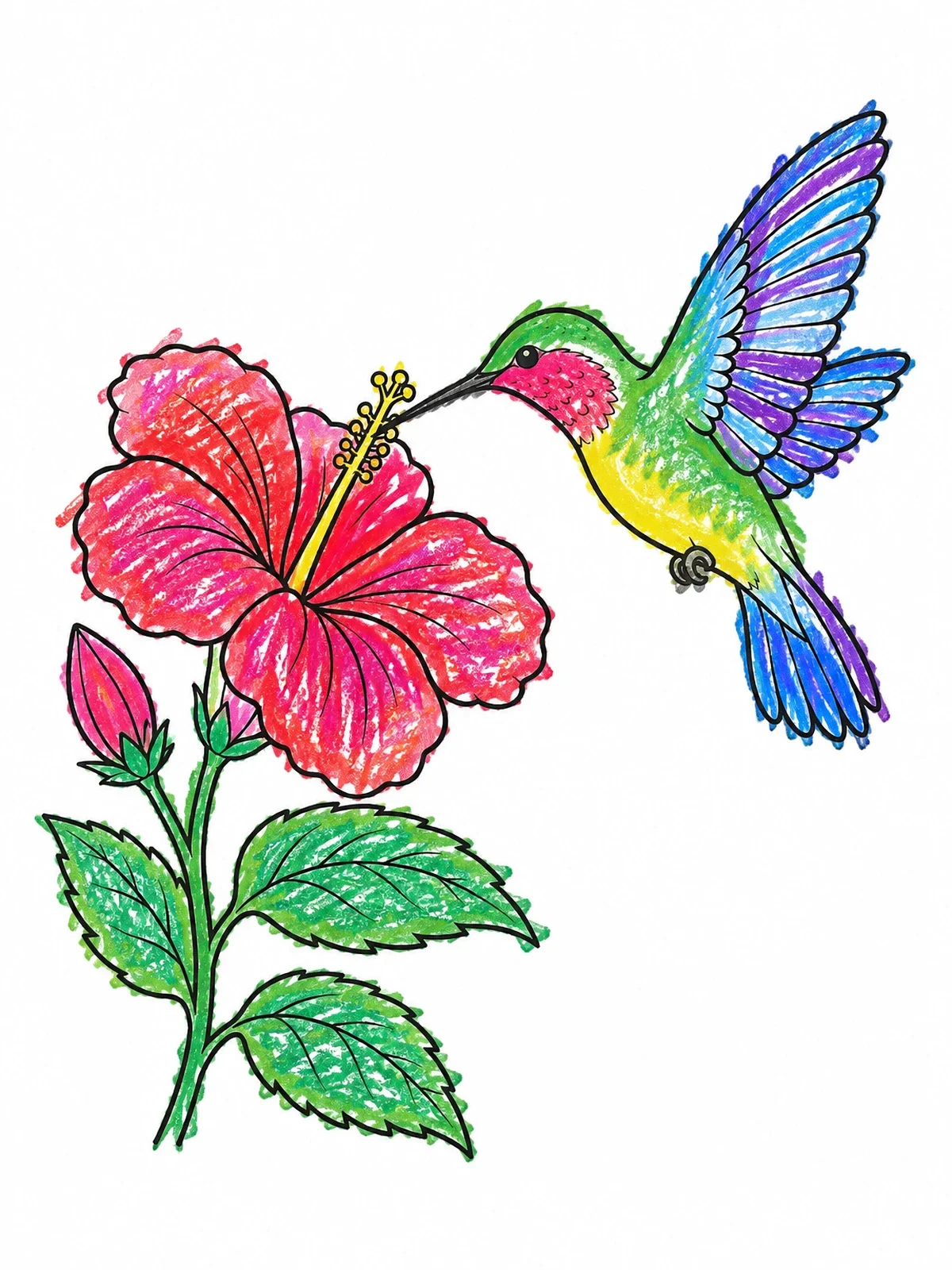 Colored example of the Hummingbird And Blooming Hibiscus coloring page