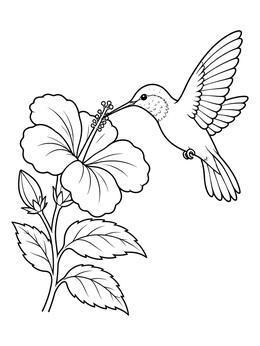 Free printable Hummingbird And Blooming Hibiscus coloring page