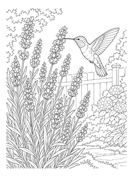 A hummingbird hovers near blooming stalks in this detailed lavender coloring page.
