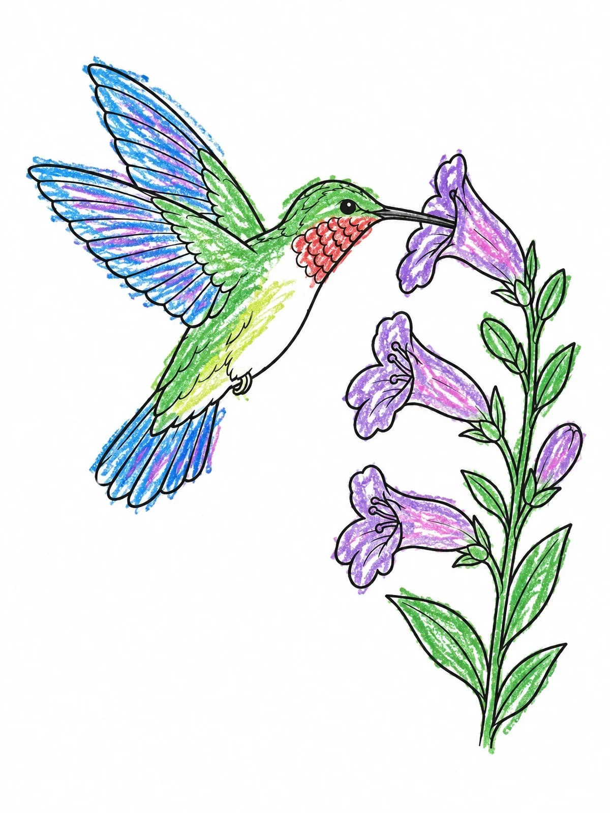 Colored example of the Hummingbird Drinking From Penstemon Blossom coloring page