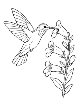 A hummingbird coloring page featuring a flying bird feeding from trumpet flowers.