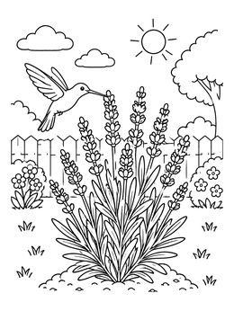 Free printable Hummingbird Visiting Garden Lavender coloring page