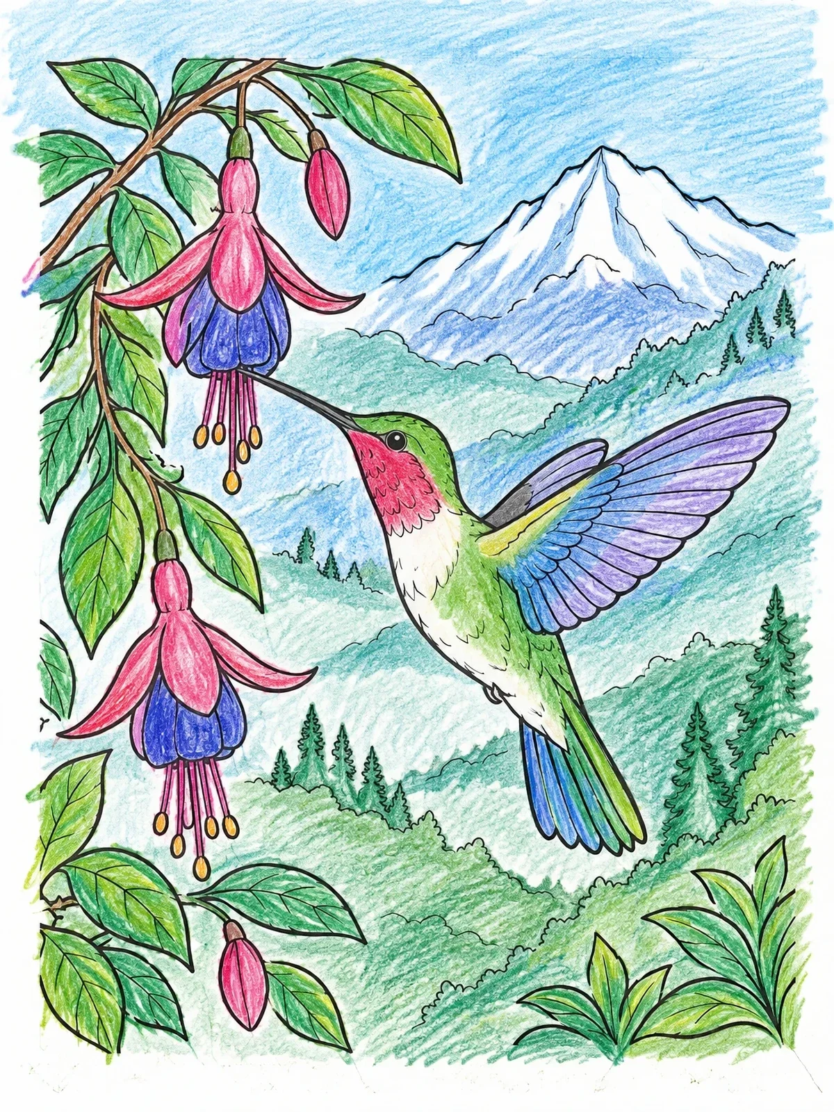 Colored example of the Hummingbird Hovering By Mountain Fuchsia coloring page