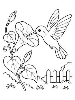 Free printable Hummingbird And Morning Glory Flower coloring page