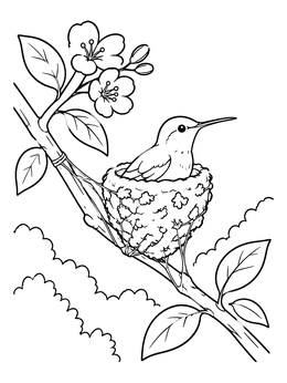 Free printable Hummingbird In A Blossom Tree Nest coloring page