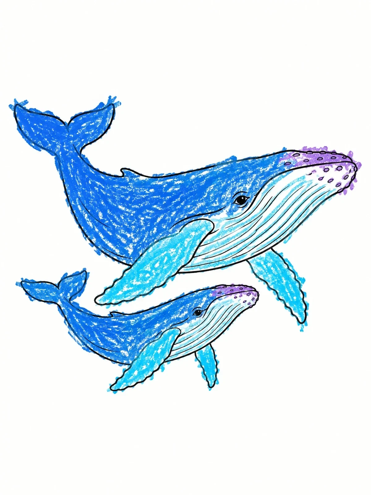 Colored example of the Humpback Whale Mother And Calf coloring page