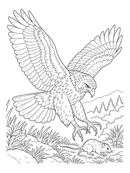 A detailed hawk coloring page showing a raptor swooping down toward a field mouse.