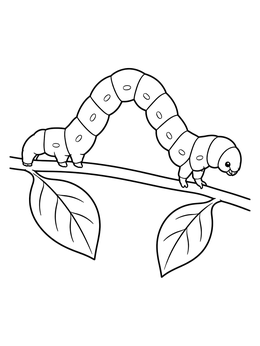 An inchworm coloring page showing a caterpillar looping across a leafy twig.