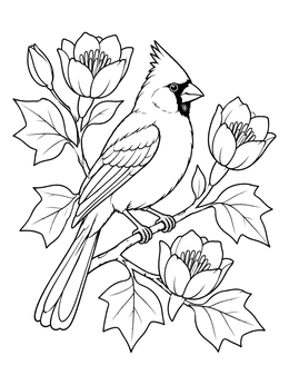 A detailed indiana coloring page showing the state bird cardinal perched among tulip tree blossoms.