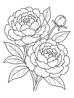 Blooming peonies featured in this elegant Indiana coloring page with lush petals and leaves.