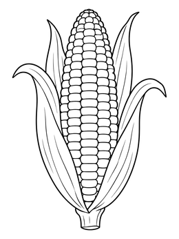 Free printable Sweet Corn On The Cob coloring page