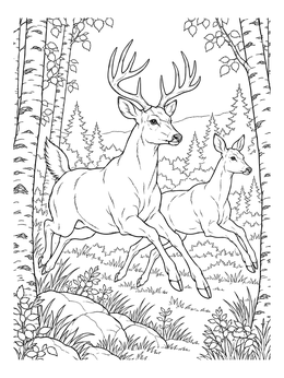 Free printable Deer Leaping Through Birch Forest coloring page