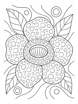 Free printable Giant Rafflesia Arnoldii Bloom coloring page