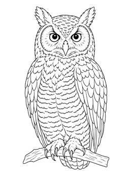 Free printable Great Horned Owl On A Branch coloring page