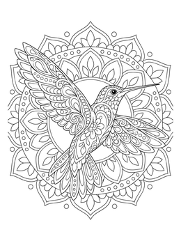 An ornate hummingbird coloring page featuring detailed patterns against a circular floral mandala.