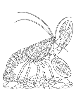 Detailed adult lobster coloring page with ornate shell patterns walking on smooth river stones.