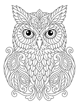 An intricate zentangle owl coloring page with swirling paisley feathers and patterned plumage.
