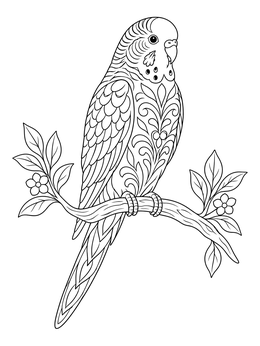 Free printable Intricate Parakeet On Leafy Branch coloring page
