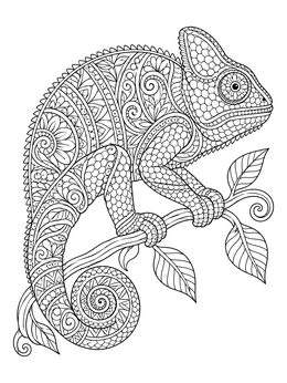 Detailed chameleon perched on a leafy vine in this zentangle coloring page.