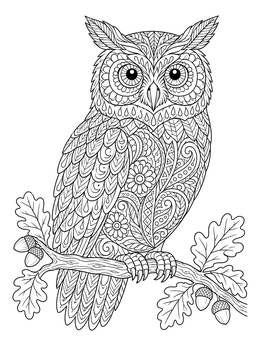 A detailed owl perched on an oak branch in this zentangle coloring page.