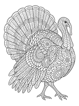 Detailed wild turkey in a zentangle thanksgiving coloring page design.