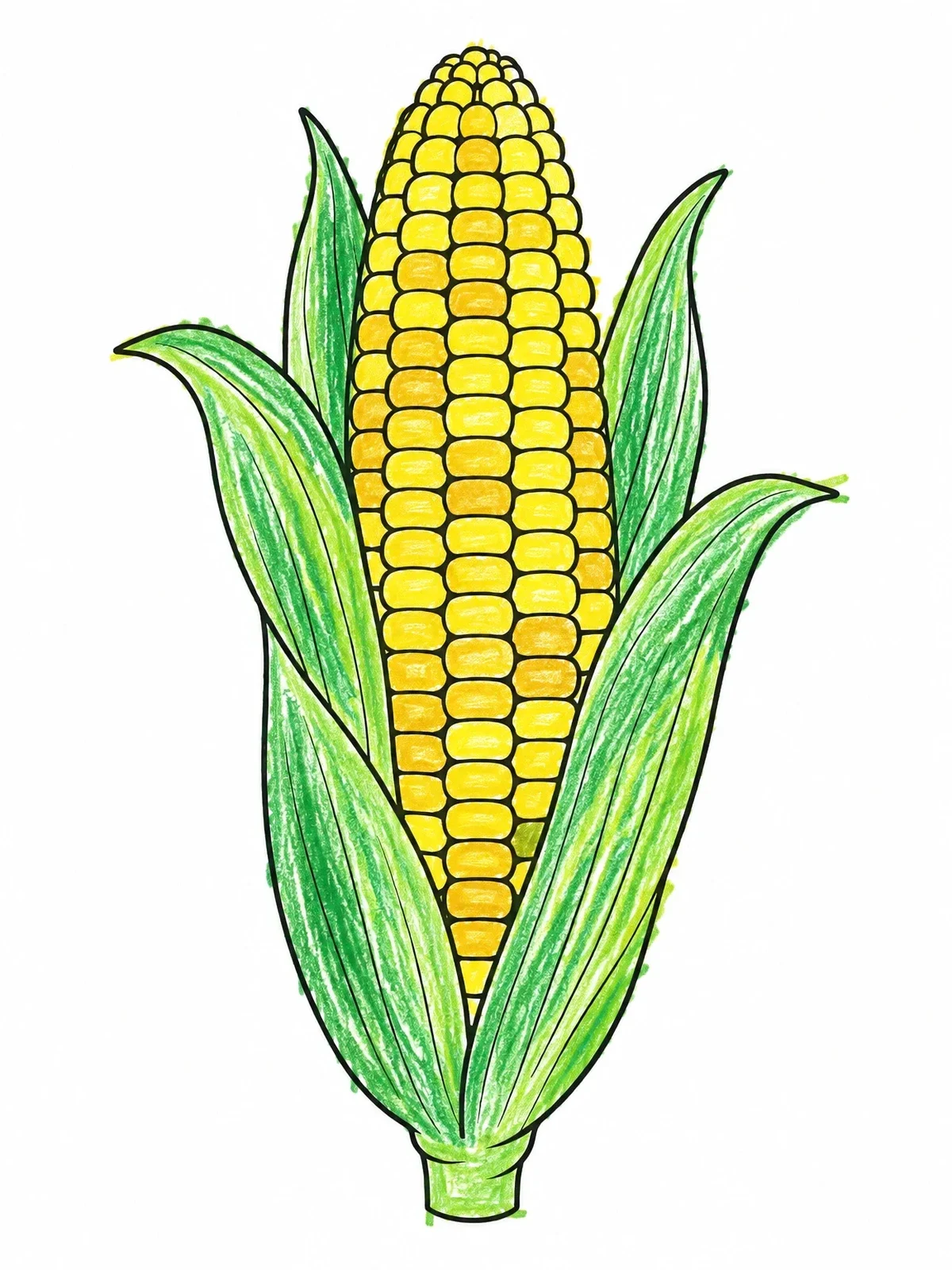 Colored example of the Ripe Iowa Corn On The Cob coloring page